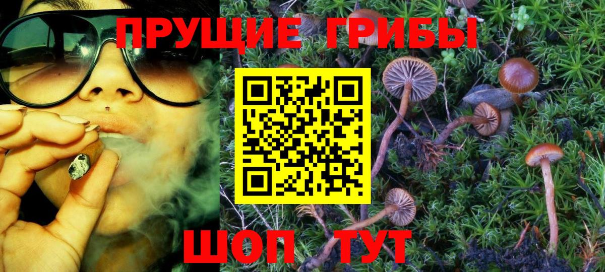 Галлюциногенные грибы Psilocybine cubensis Новосибирск