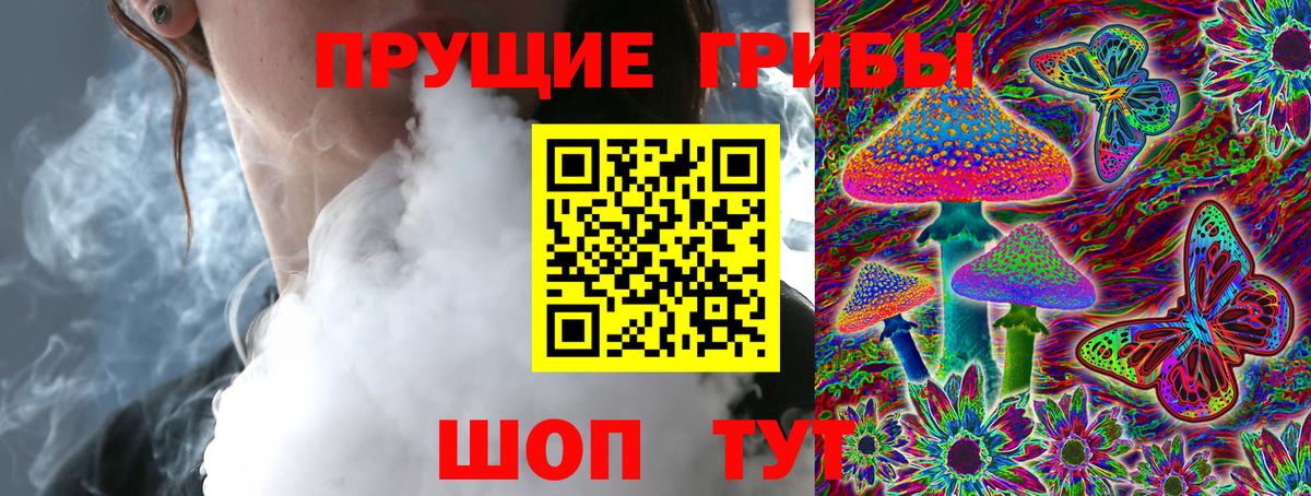 Галлюциногенные грибы Cubensis  Вход с VPN  Новосибирск 